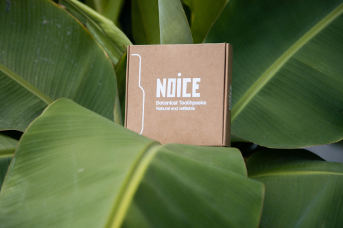 NOICE - Botanical Toothpaste 03'
