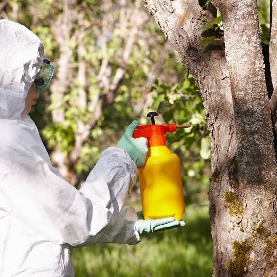 Subsurface Chemical Migration'