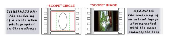 The Land: An Upcoming Indie Short Film launches Indiegogo Ca'