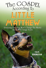 The Gospel According to Little Matthew