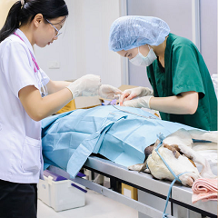 Veterinarian'
