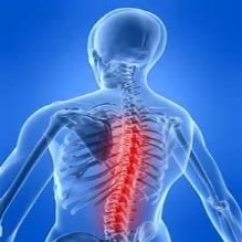 Arthritis Physical Therapy'