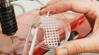 3D Bioprinting Market is Expected to Reach USD 4,306.6 Milli