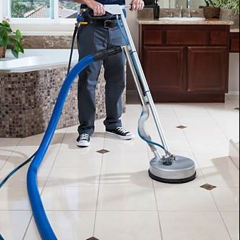 Pet Stain Removal'