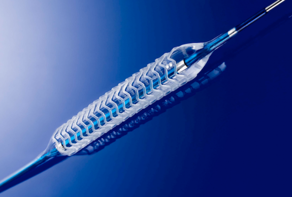 Resorbable Vascular Scaffold Market is Expected to Reach USD