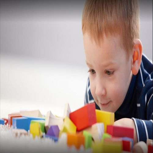 Language Pathologist'