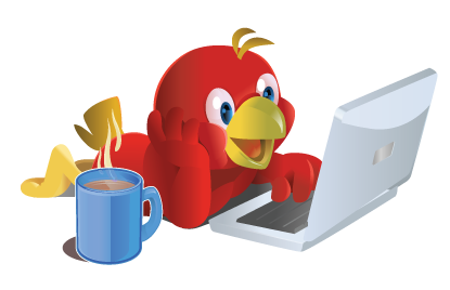 Pay for Performance Seo'