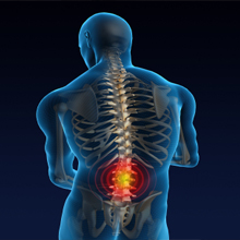 Spinal Analysis'