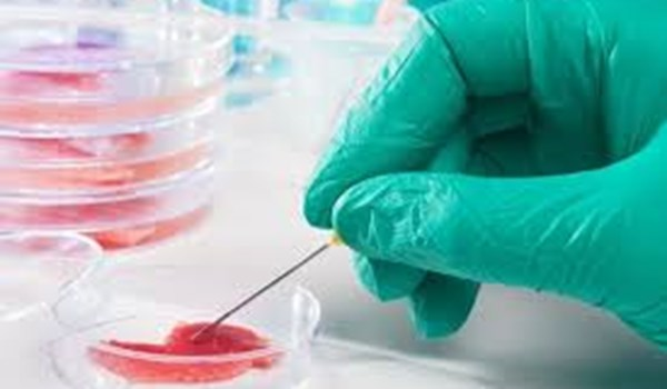 Cell Separation Technologies Market'