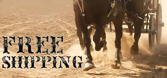 Cowboy Hat Wagon Free Shipping