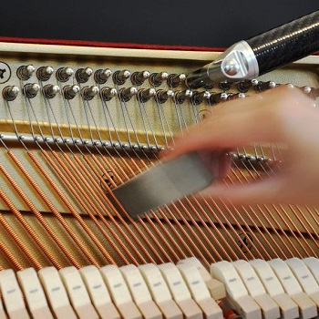Company Logo For Dean of Music Organ Repair'