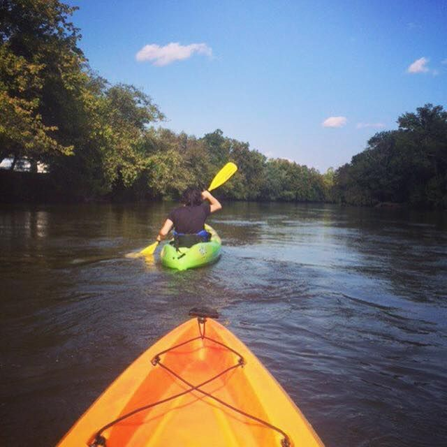 Paddle Board Rental'