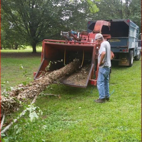 Bobcat Hauling'