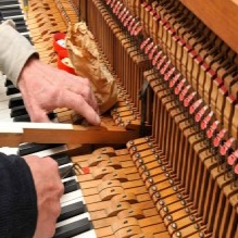 Piano Repair Service'