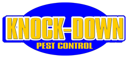 Company Logo For Knockdown Pest Control Sydney'