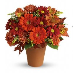 Florist'