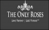 Company Logo For The Only Roses'