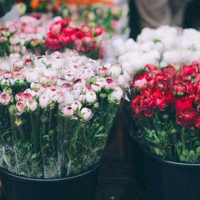 Flower Shop'
