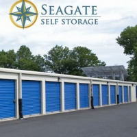 Seagate Mini Storage Logo