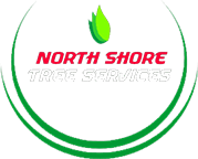 Company Logo For North Shore Tree Services'