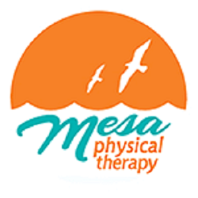 Company Logo For Mesa Physical Therapy'