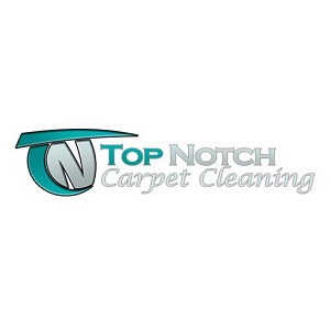 Company Logo For Top Notch Carpet Cleaning'