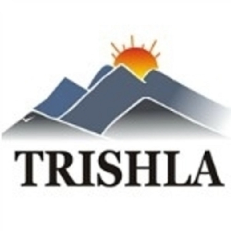 Company Logo For Trishla City'