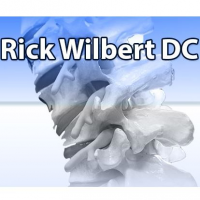 Rick Wilbert, DC Logo