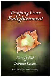 Tripping Over Enlightenment'