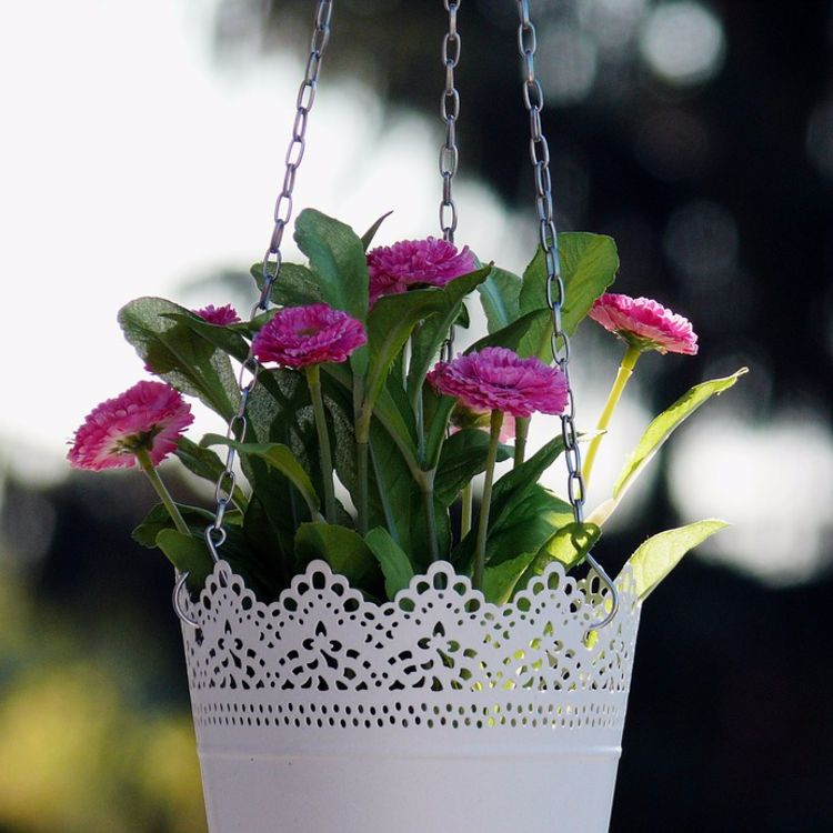 Flowers'