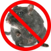 Company Logo For Rodent Control Melbourne'