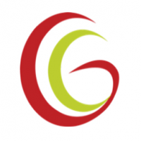 Gemini Geeks Technologies Pvt. Ltd. Logo
