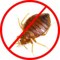 Bed Bugs Control Melbourne Logo