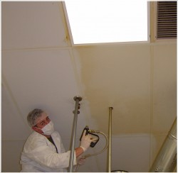 Eco-Friendly Building Services