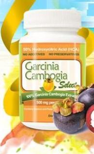 Website Brings the Complete Info about Garcinia Cambogia