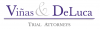 Company Logo For Viñas & DeLuca, PLLC.'