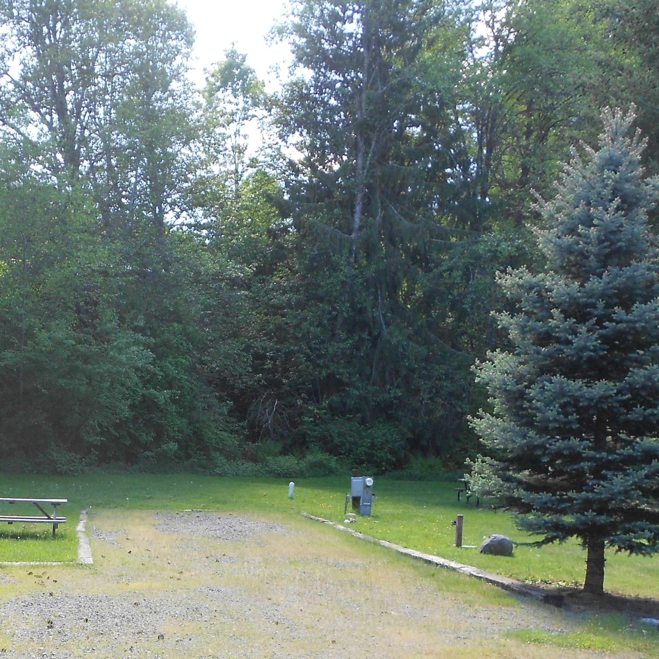 Campground With Hookups'
