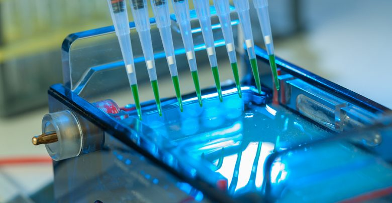 Electrophoresis Market'