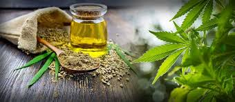 Cannabis Oil Market'