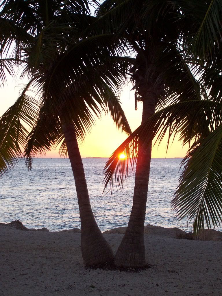 Spring Break in Key West. Photo by kkmacc on Photobucket.