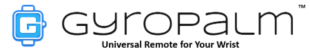GyroPalm