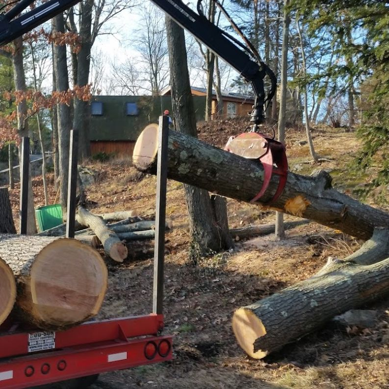 Tree Trimming'