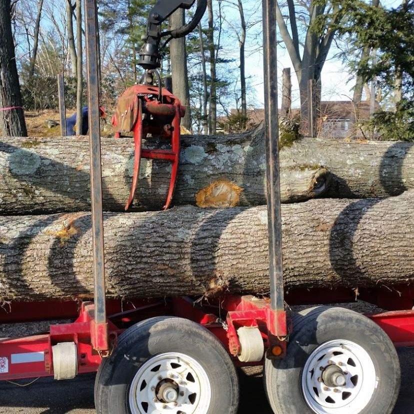 Tree Service'