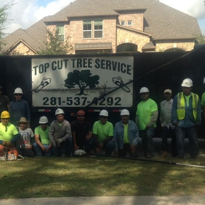 Company Logo For Top Cut Tree Service'