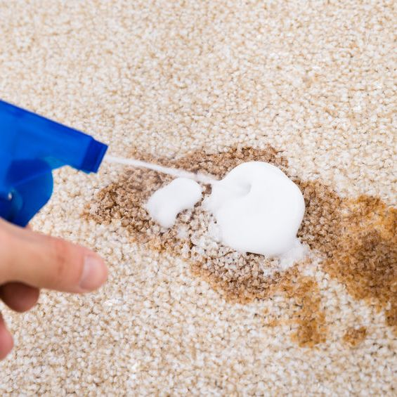 Company Logo For Clean As A Whistle, Inc.'