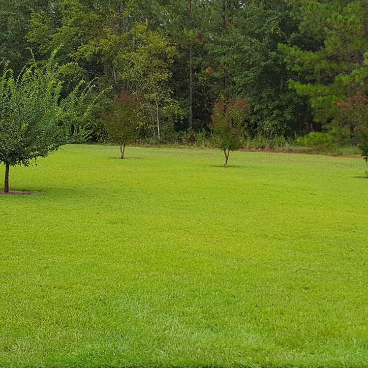 Company Logo For The Lawn Doctor, Inc'