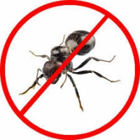 Ant Control Perth Logo
