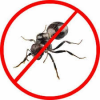 Company Logo For Ant Control Perth'