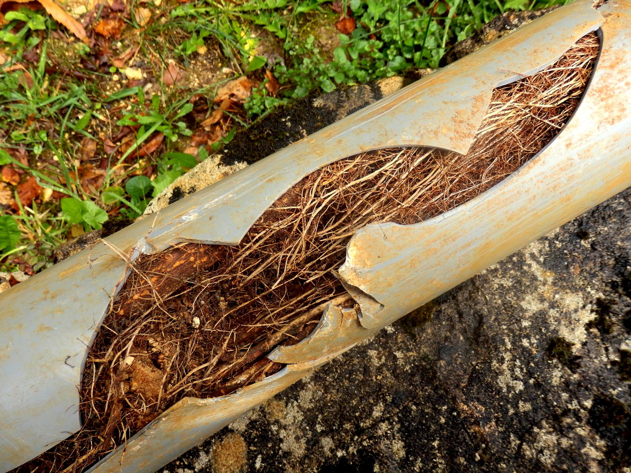 Sewer Line Repair'
