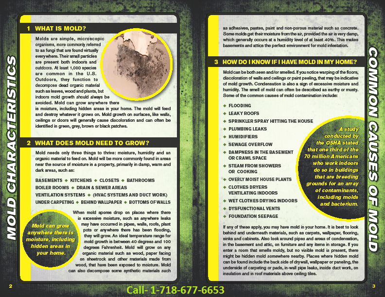 NYC mold inspection brochure1'